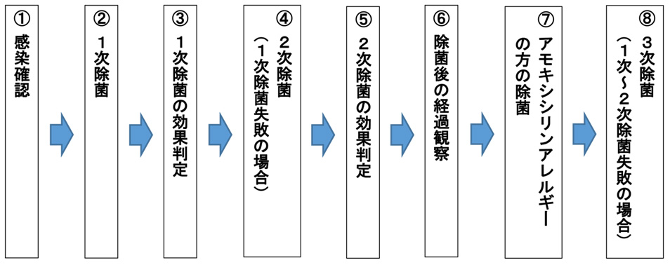 ヘリコバクターピロリ(菌)の感染確認から除菌までの流れ